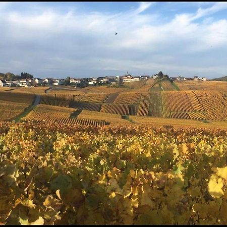 Gite En Champagne Le Sarment Cramant Εξωτερικό φωτογραφία