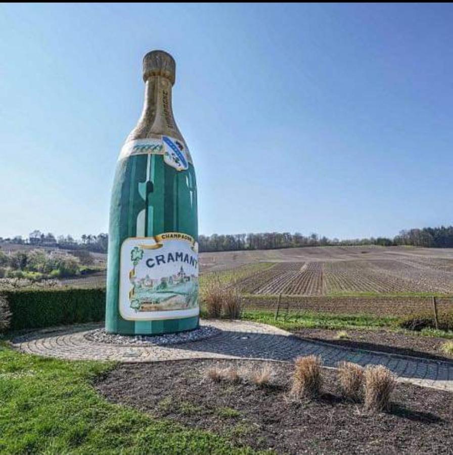 Gite En Champagne Le Sarment Cramant Εξωτερικό φωτογραφία
