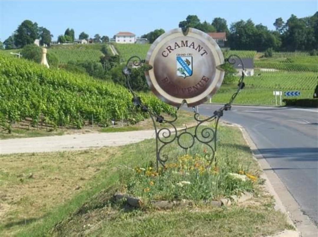 Gite En Champagne Le Sarment Cramant Εξωτερικό φωτογραφία