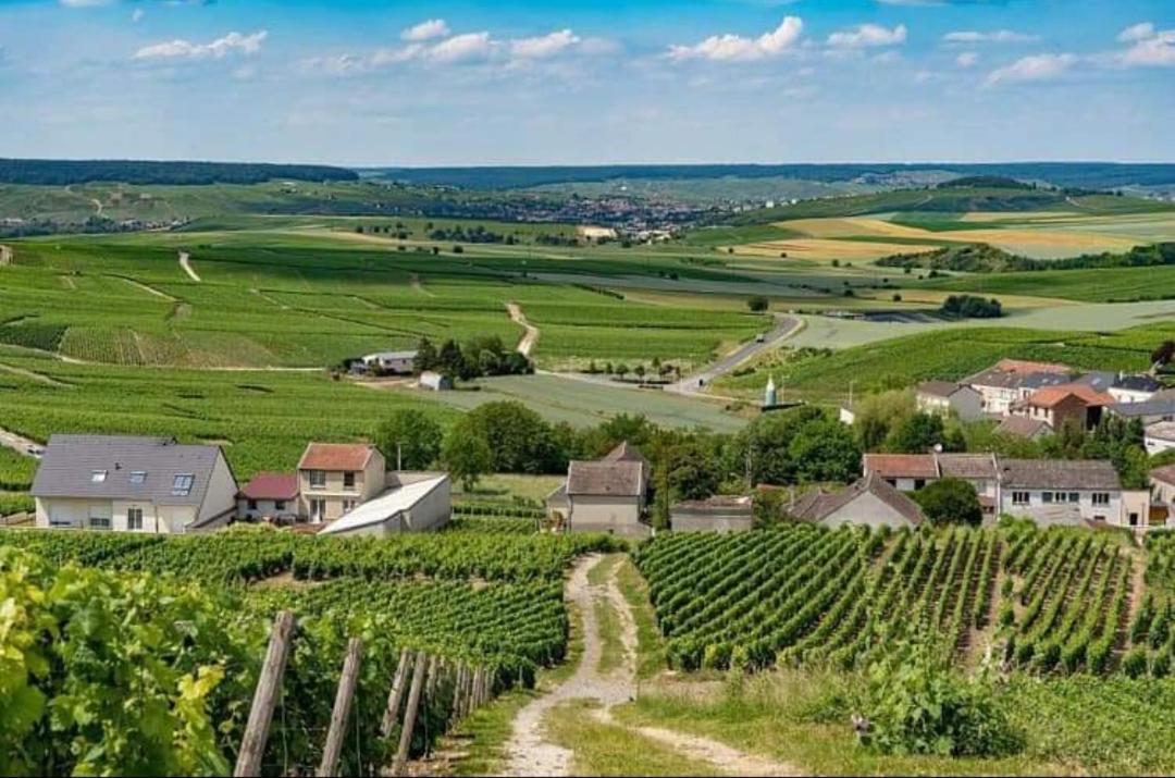 Gite En Champagne Le Sarment Cramant Εξωτερικό φωτογραφία