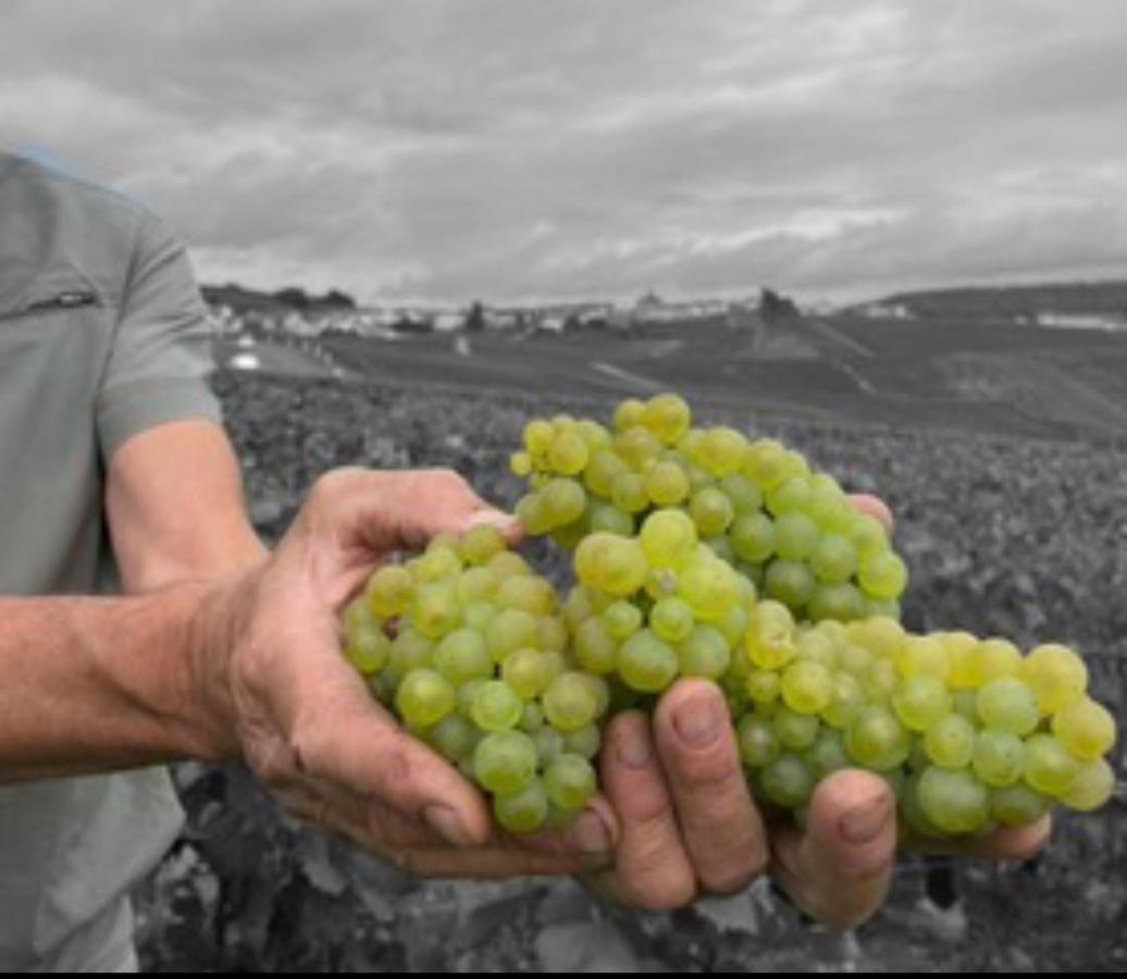 Gite En Champagne Le Sarment Cramant Εξωτερικό φωτογραφία